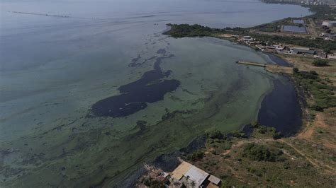 Pollution in Venezuela's Lake Maracaibo threatens life in one of the ...