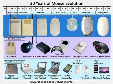 evolução | Pc mouse, Mouse, Computer support