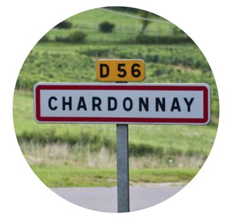 Grape 101: Your Simple Guide to Chardonnay - The Spirited Somm