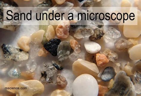 Sand Under a Microscope - Rs' Science