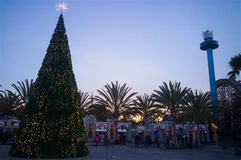 A Winter Wonderland in Silicon Valley | Ever In Transit