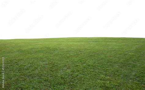 Green grass field background Stock Photo | Adobe Stock