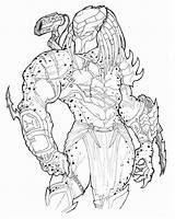 Predator Coloring Book Pages sketch template