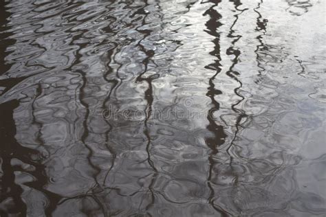 The Texture of the Water. a Puddle in the City Stock Image - Image of march, morning: 229722021