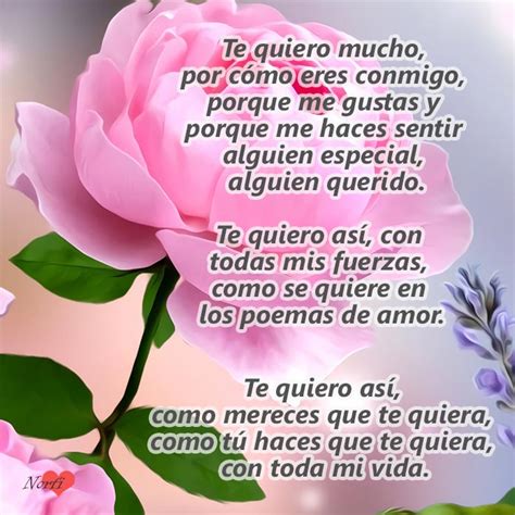 Te quiero así, con toda mi vida. Versos de un amor correspondido