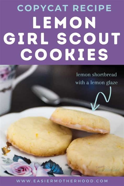 Lemonades Girl Scout Cookies Recipe | Dandk Organizer