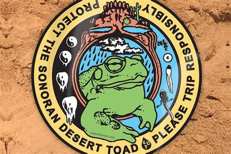 Naturalist and Artist Team Up to Save Sonoran Desert Toads ...