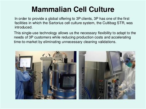 Mammalian Cell Culture