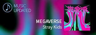 Stray Kids - MEGAVERSE : r/SuperstarJYPNation