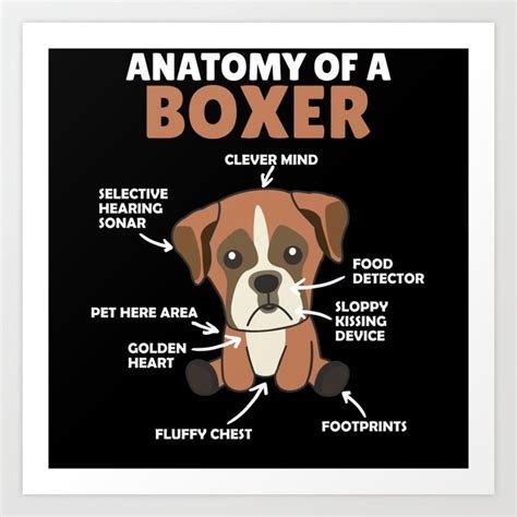 Anatomy Of A Boxer Sweet Dog Puppy Art Print by Dalukey | Society6