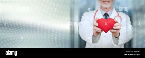 Doctor showing red heart; cardiology concept; panoramic banner Stock ...