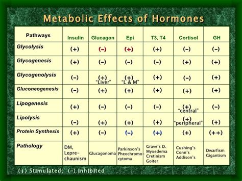 Hormone Metabolism