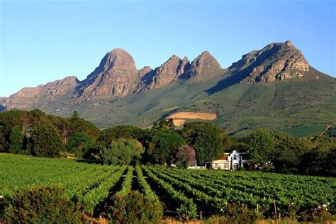 Stellenbosch Vineyards, South Africa | Travel store, Natural landmarks ...