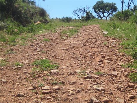 Rocky Trail Free Stock Photo - Public Domain Pictures