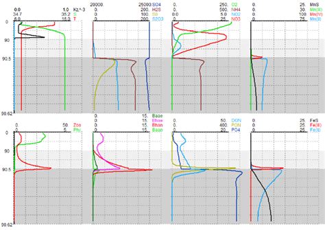 Vertical distributions of the modelled chemical parameters (μM),... | Download Scientific Diagram