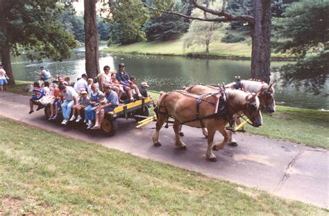 All Design Shed: Hayride Wagon Plans