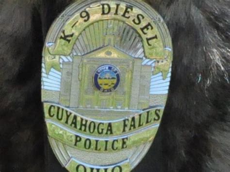 K-9 Unit Returns to Falls Police | Cuyahoga Falls, OH Patch