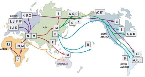 Ina Clan - mtDNA Haplogroup B