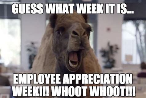 8 Coworker Appreciation Memes (+7 Tips for Sending)