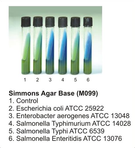 Pin on MICROBIOLOGY