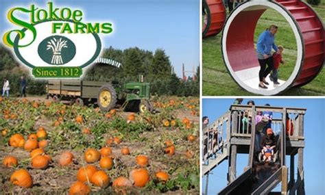 $8 for Two Tickets to Harvest Fest - Stokoe Farm | Groupon