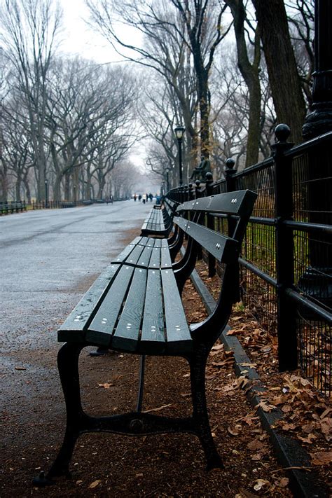 Central Park Bench Photograph by Heidi Reyher