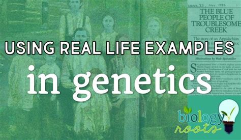 Biology Class- Using Real Life Examples in Genetics Biology Classroom ...