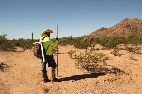 Desert Eagle | Smithsonian Photo Contest | Smithsonian Magazine