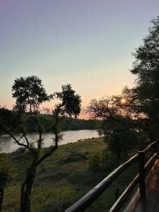 Nyati Safari Lodge, Balule Game Reserve (updated prices 2024)