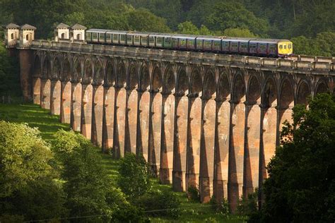 a train traveling over a bridge in the middle of trees