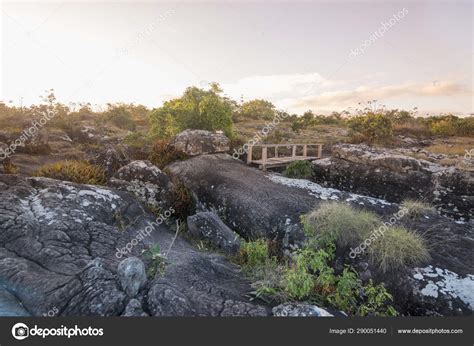 THAILAND PHITSANULOK NATIONAL PARK — Stock Photo © urf #290051440