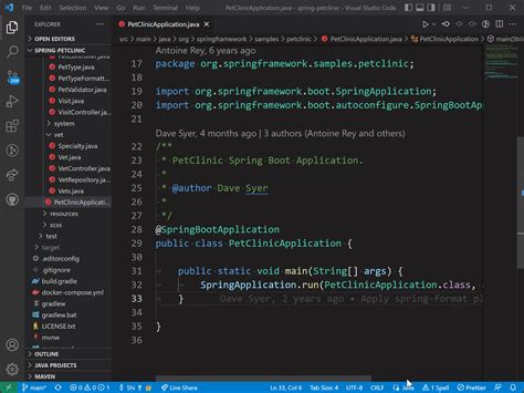 Visual studio code java - taiaprecision