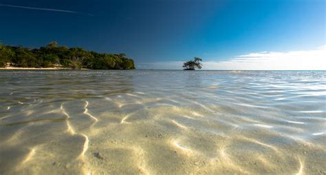 Key West Sandbar Trips | Toon Time Charters