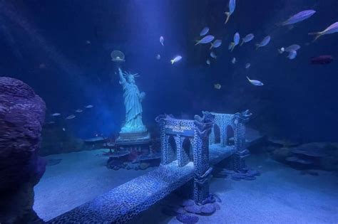 An Interactive, NYC-themed Aquarium Is Opening This Week in the American Dream Complex - and We ...