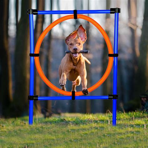 Dog Agility Equipment 3 in1 Pet outdoor training equipment Dog jumping pole circle Dog Obstacle ...