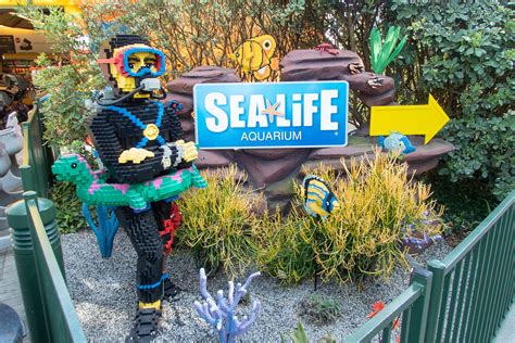 SEA LIFE Aquarium at LEGOLAND California - Carltonaut's Travel Tips