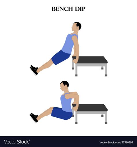 Bench dip exercise strength workout Royalty Free Vector