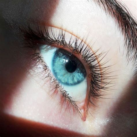 Blue eyes | Light blue eyes, Blue eyes aesthetic, Beautiful eyes color