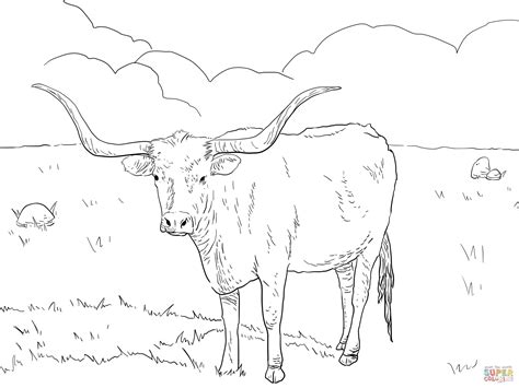 Texas Longhorn Cow Coloring page | Free Printable Coloring Pages | Cow coloring pages, Flag ...