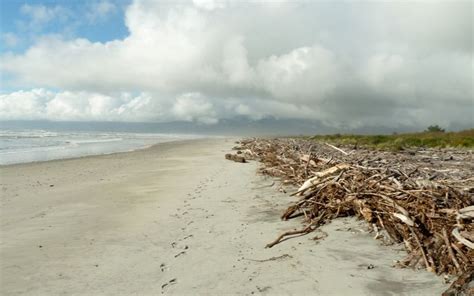 Westport Beach RV Park and Campground – Westport | Beautiful beaches, Beach, Rv parks and ...