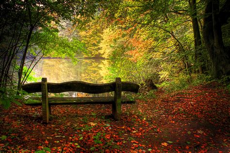 Hintergrundbilder : Sonnenlicht, Landschaft, Wald, fallen, See, Wasser, Natur, Betrachtung, Gras ...