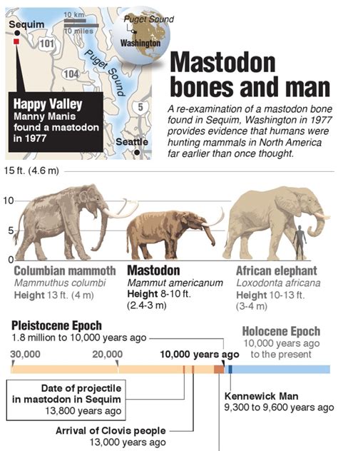 Comparing Mammoth, Mastodon and Elephant