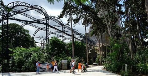 Paris Zoo - tickets, prices, discounts, animals to see, best time to visit