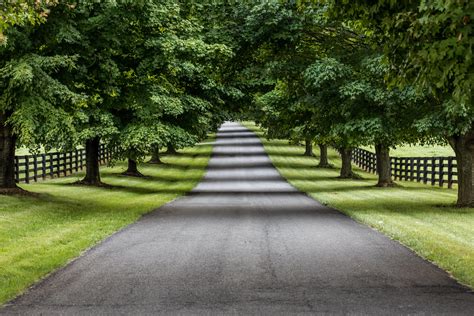 Leading Lines -- Nature & Landscapes in photography-on-the.net forums