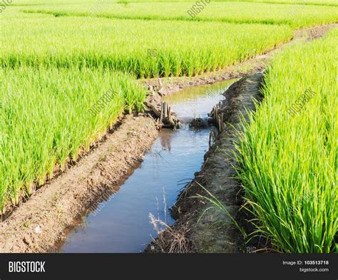 Small Water Dam Image & Photo (Free Trial) | Bigstock