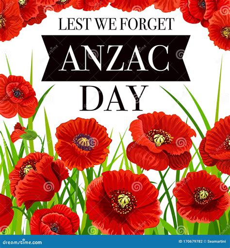 Lest we Forget, Anzac Day Poppy Flowers Stock Vector - Illustration of national, flower: 170679782