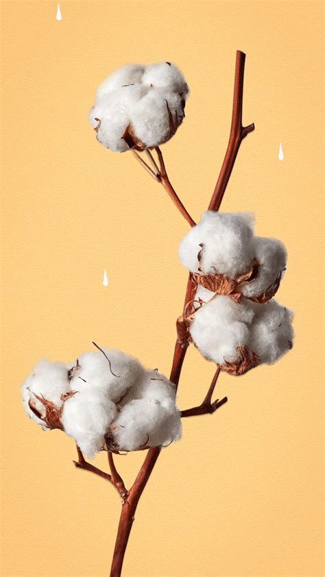 Cotton GIF by The Fabric of Our Lives - Find & Share on GIPHY