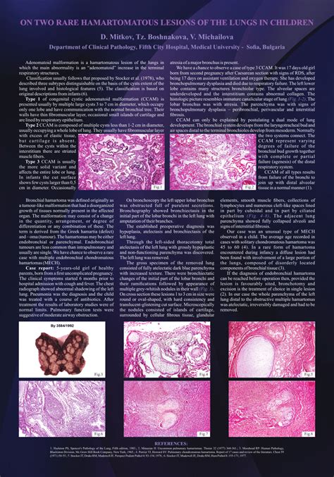 (PDF) On two rare hamartomatous lesions of the lungs in children