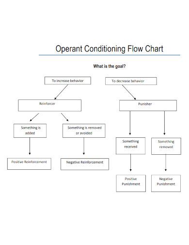 Operant Conditioning - Examples