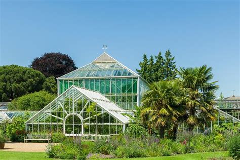 Beautiful Christmas Lights - Cambridge University Botanic Garden ...